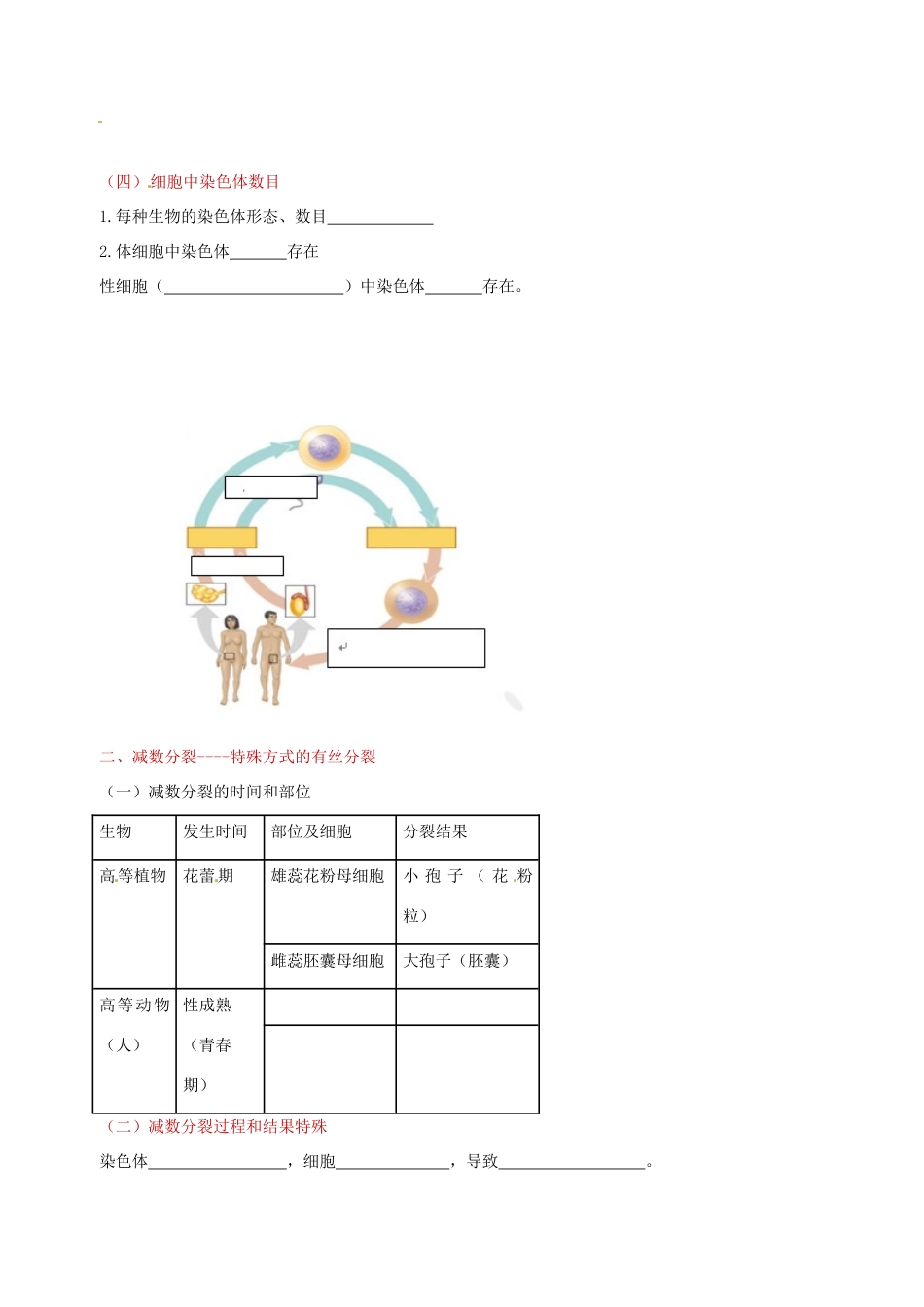 高中生物 减数分裂和受精作（一）素材 新人教版必修2-新人教版高一必修2生物素材_第2页