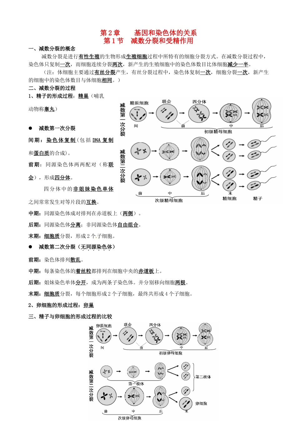 高中生物 第二章 基因和染色体的关系知识提纲 新人教版必修2-新人教版高一必修2生物素材_第1页