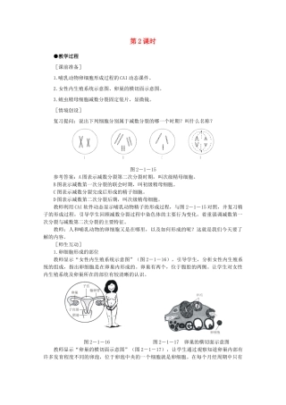 高中生物 减数分裂和受精作用 第2课示范教案 新人教版