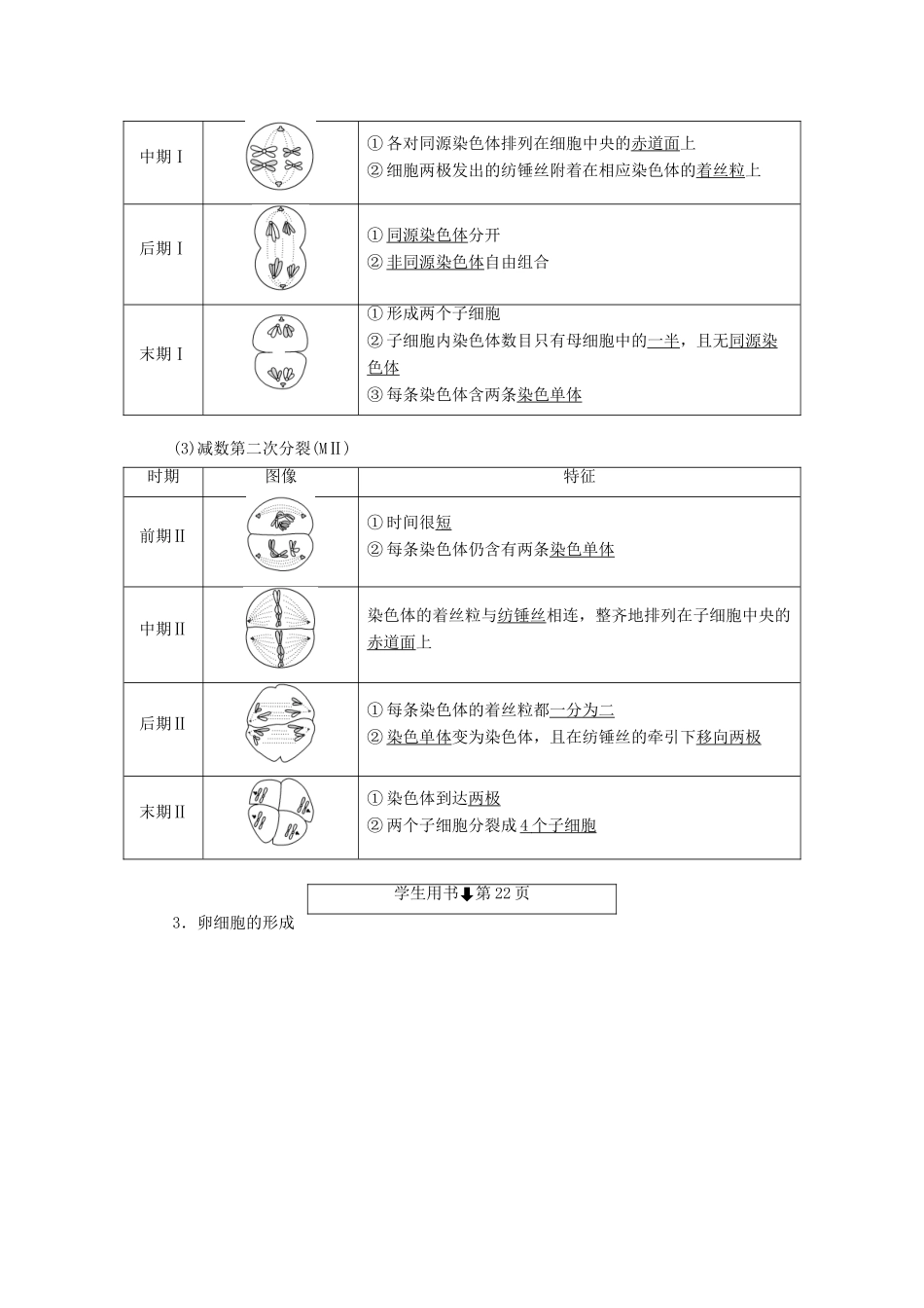 高中生物 第二章 染色体与遗传 第6课时 减数分裂中的染色体变化（Ⅰ）同步备课教学案 浙科版必修2-浙科版高一必修2生物教学案_第3页