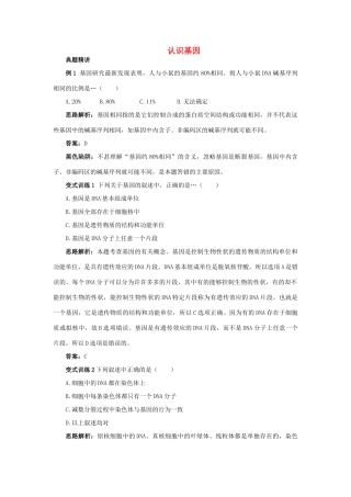 高中生物 例题与探究 第三单元 第二章 第一节 认识基因学案（含解析）中图版必修2-中图版高中必修2生物学案