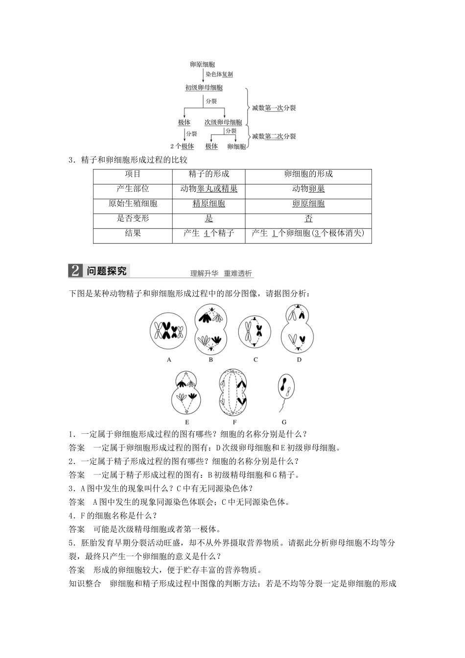 高中生物 第二章 染色体与遗传 第一节 减数分裂中的染色体行为 第2课时教学案 浙科版必修2-浙科版高一必修2生物教学案_第2页
