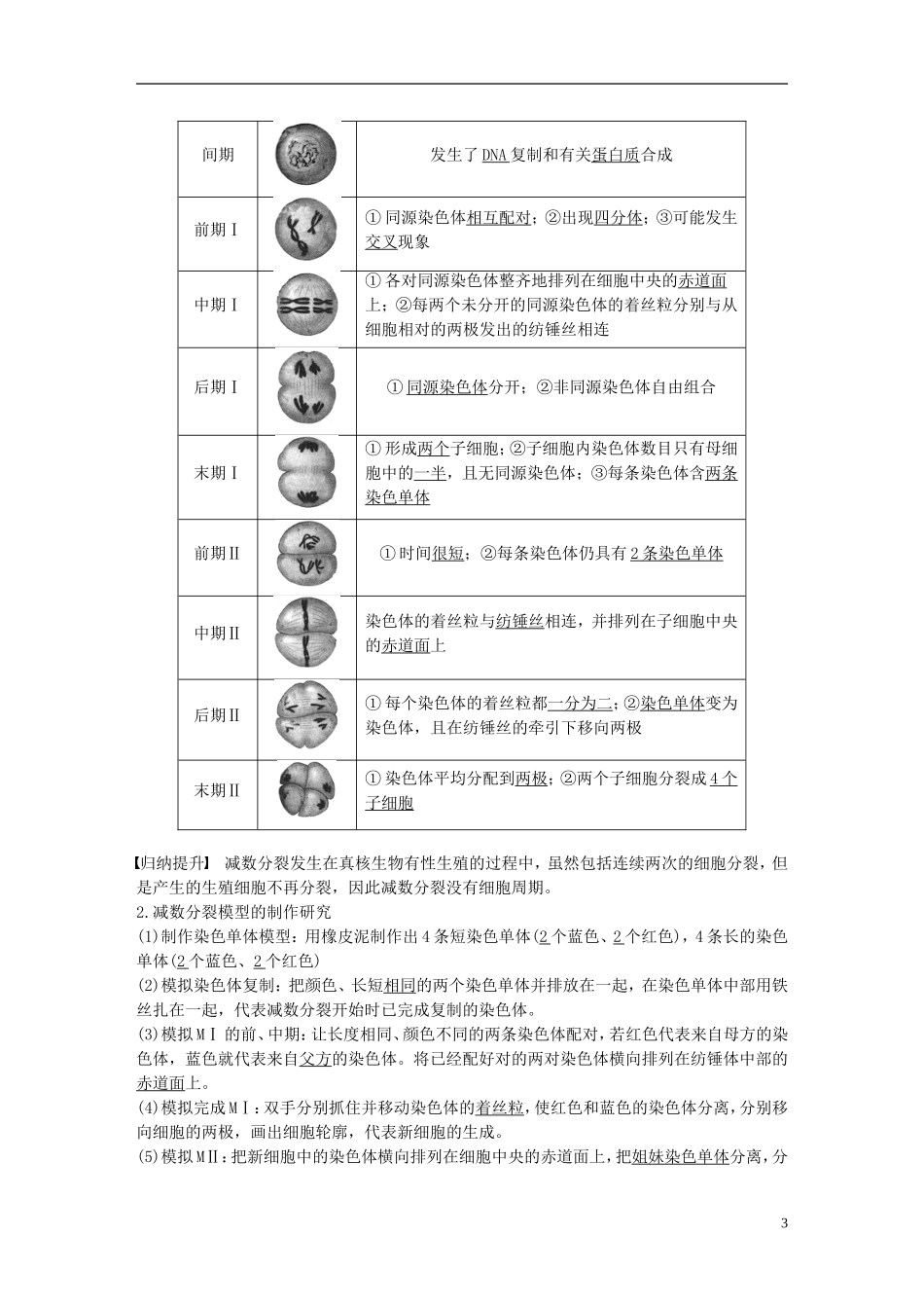 高中生物 第二章 染色体与遗传 第一节 减数分裂中的染色体行为（Ⅰ）学案 浙科版必修2-浙科版高一必修2生物学案_第3页