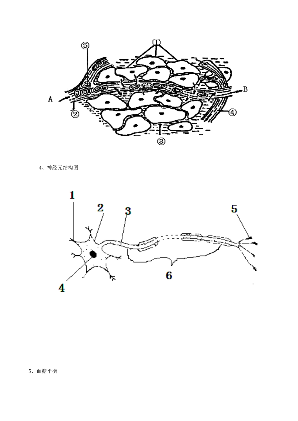 高中生物 全册必背图 新人教版必修3-新人教版高中必修3生物素材_第2页