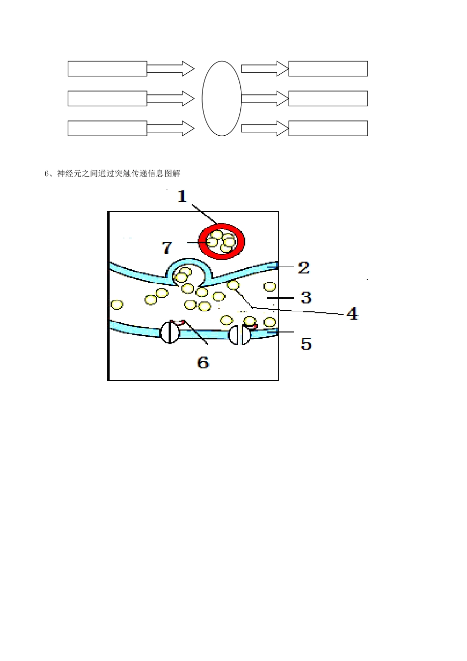高中生物 全册必背图 新人教版必修3-新人教版高中必修3生物素材_第3页
