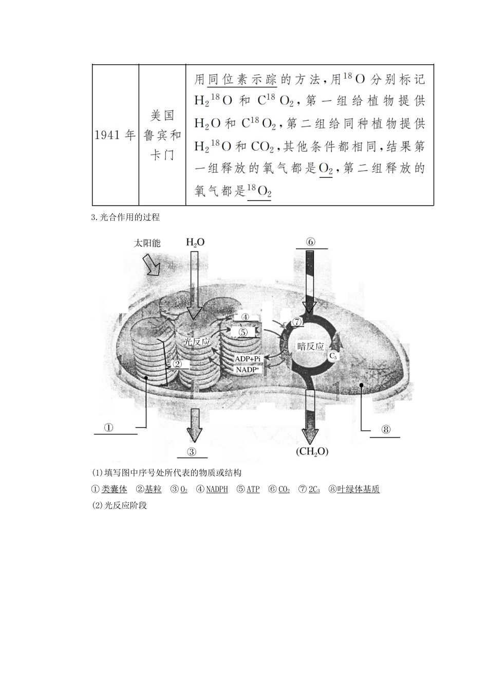 高中生物 第5章 细胞的能量供应和利用 5-4-2 光合作用的原理和应用教学案 新人教版必修1-新人教版高一必修1生物教学案_第2页