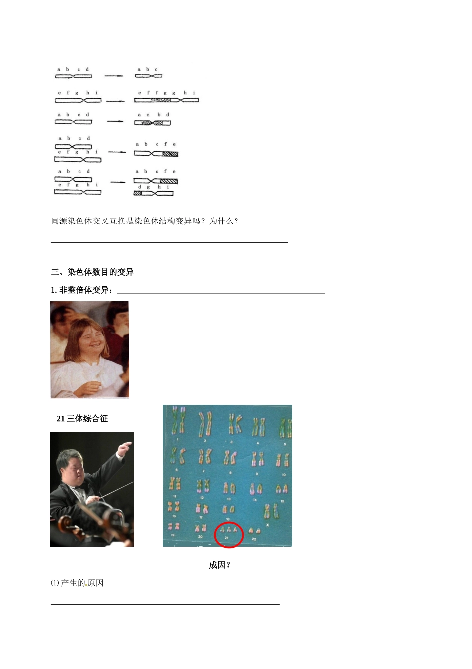 高中生物 染色体变异素材 新人教版必修2-新人教版高一必修2生物素材_第2页