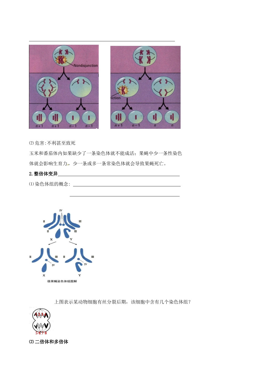 高中生物 染色体变异素材 新人教版必修2-新人教版高一必修2生物素材_第3页