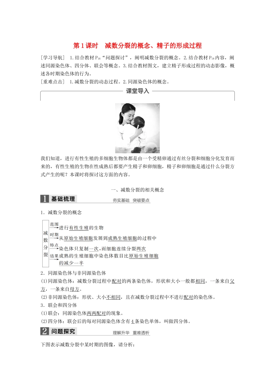 高中生物 第二章 基因和染色体的关系 第1节 减数分裂和受精作用 第1课时 减数分裂的概念、精子的形成过程教学案 新人教版必修2-新人教版高一必修2生物教学案_第1页