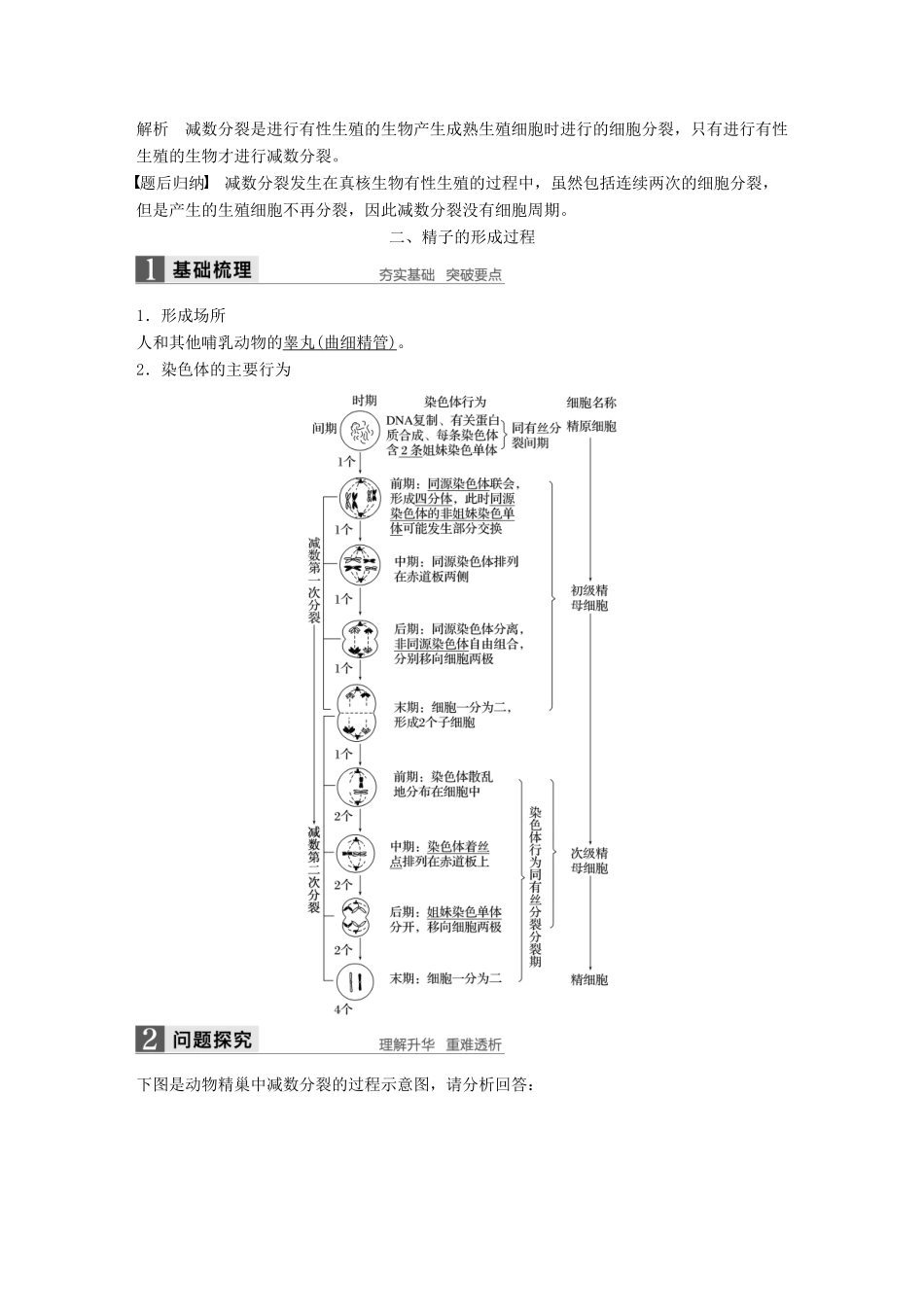 高中生物 第二章 基因和染色体的关系 第1节 减数分裂和受精作用 第1课时 减数分裂的概念、精子的形成过程教学案 新人教版必修2-新人教版高一必修2生物教学案_第3页