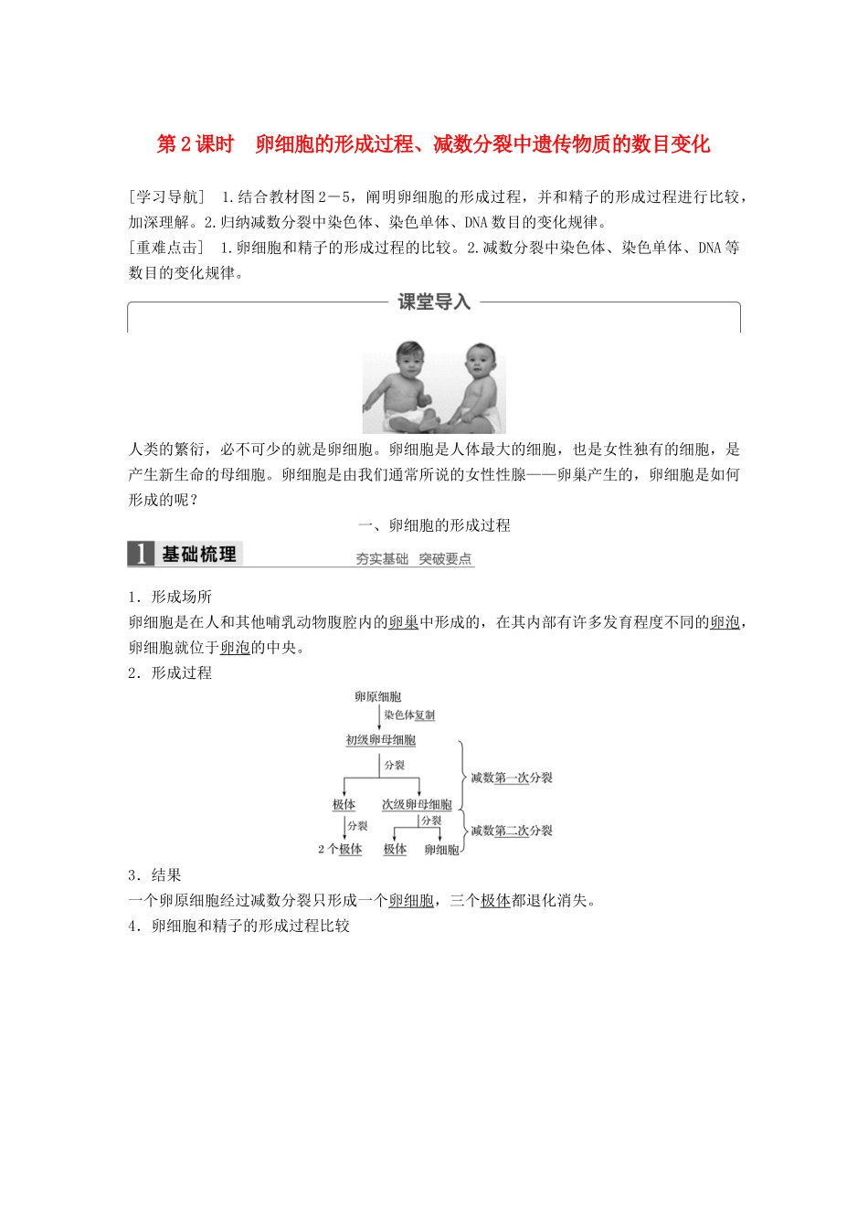高中生物 第二章 基因和染色体的关系 第1节 减数分裂和受精作用 第2课时 卵细胞的形成过程、减数分裂中遗传物质的数目变化教学案 新人教版必修2-新人教版高一必修2生物教学案_第1页