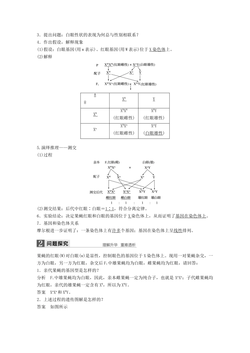 高中生物 第二章 基因和染色体的关系 第2节 基因在染色体上教学案 新人教版必修2-新人教版高一必修2生物教学案_第3页