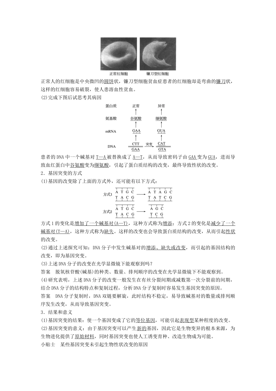 高中生物 第5章 遗传信息的改变 第20课时 基因突变教学案 北师大版必修2-北师大版高一必修2生物教学案_第3页