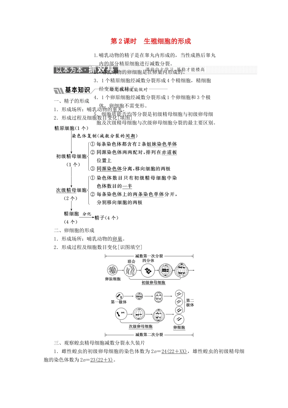高中生物 第二章 减数分裂和有性生殖 第一节 第2课时 生殖细胞的形成教学案 苏教版必修2-苏教版高一必修2生物教学案_第1页