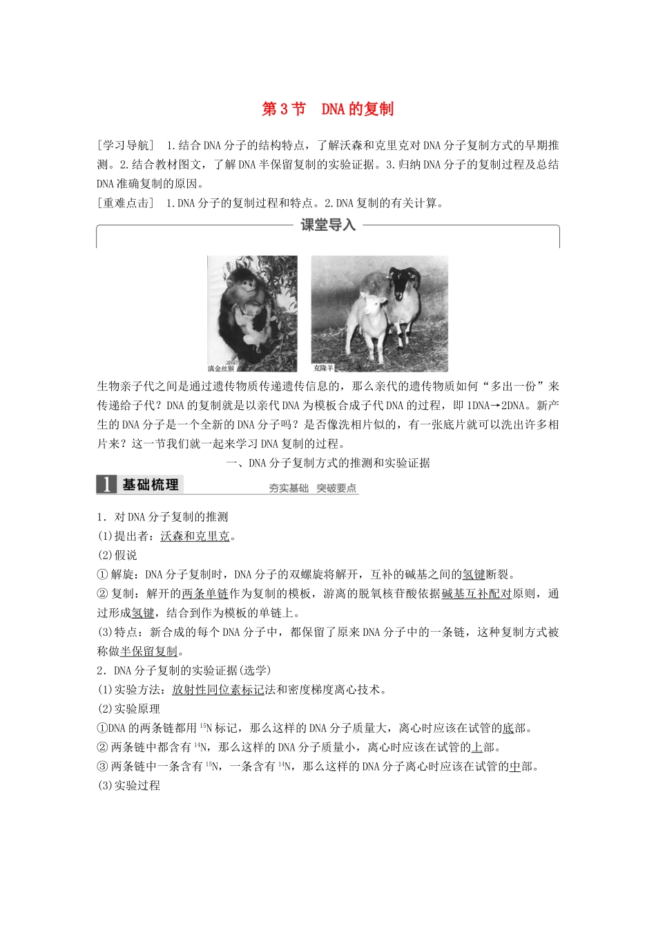 高中生物 第三章 基因的本质 第3节 DNA的复制教学案 新人教版必修2-新人教版高一必修2生物教学案_第1页