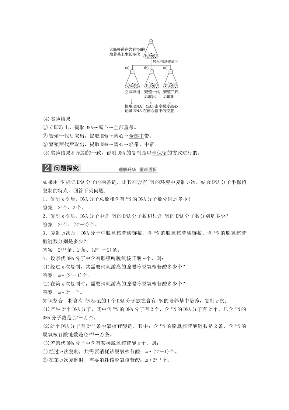 高中生物 第三章 基因的本质 第3节 DNA的复制教学案 新人教版必修2-新人教版高一必修2生物教学案_第2页