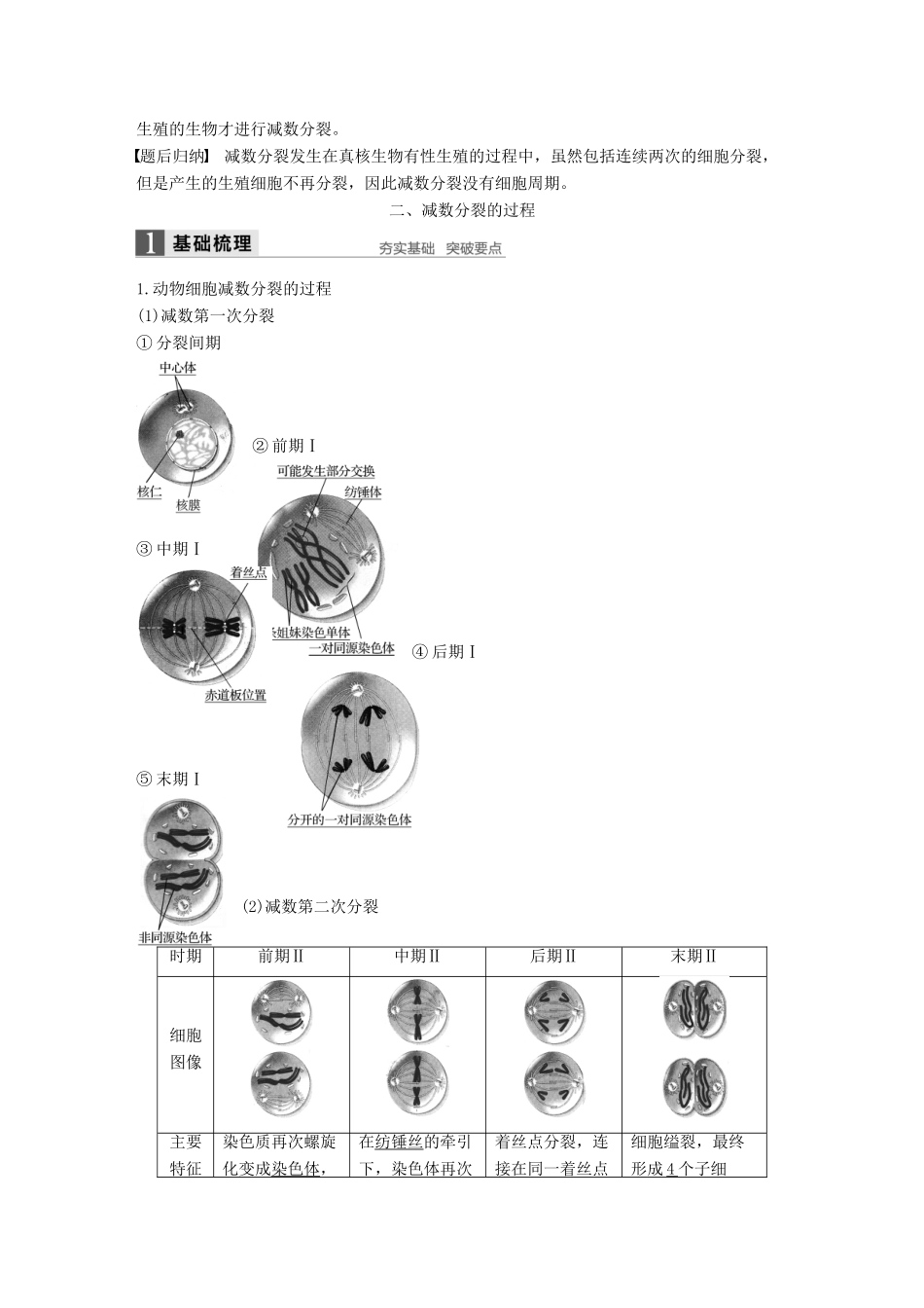 高中生物 第二章 减数分裂和有性生殖 第一节 减数分裂 第1课时教学案 苏教版必修2-苏教版高一必修2生物教学案_第3页