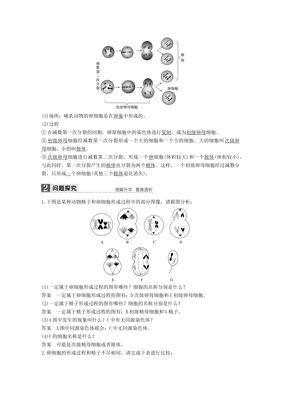 高中生物 第二章 减数分裂和有性生殖 第一节 减数分裂 第2课时教学案 苏教版必修2-苏教版高一必修2生物教学案_第2页