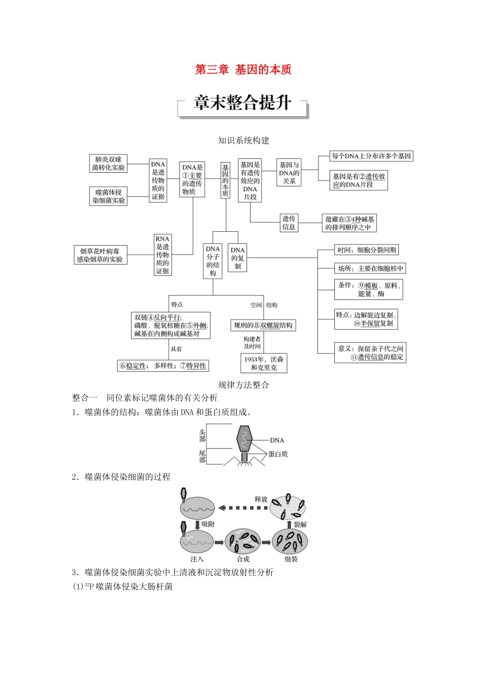 高中生物 第三章 基因的本质章末整合提升教学案 新人教版必修2-新人教版高一必修2生物教学案_第1页