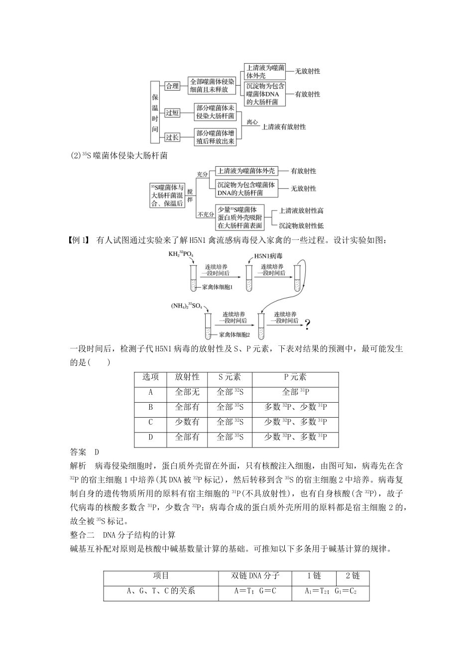 高中生物 第三章 基因的本质章末整合提升教学案 新人教版必修2-新人教版高一必修2生物教学案_第2页