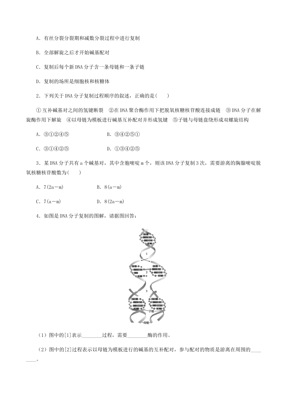 高中生物 第二章 遗传信息的复制与表达 第一节 遗传信息的复制学案 北师大版必修2-北师大版高一必修2生物学案_第3页