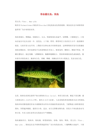 高中生物 寿命最长鱼素材