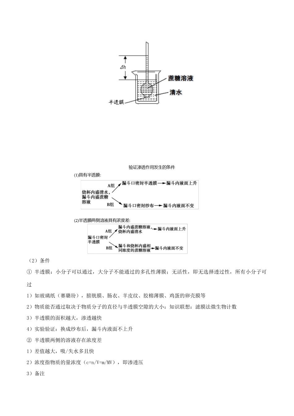 高中生物 思维导图在生物中的应用 4.细胞的物质输入和输出知识点-人教版高一全册生物素材_第2页