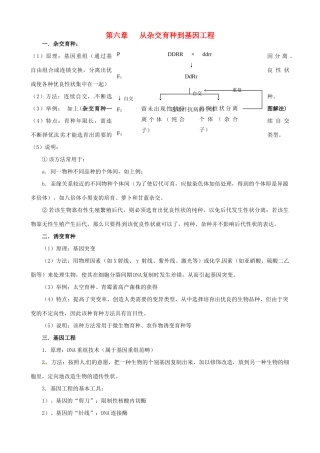 高中生物 第六章 从杂交育种到基因工程知识提纲 新人教版必修2-新人教版高一必修2生物素材