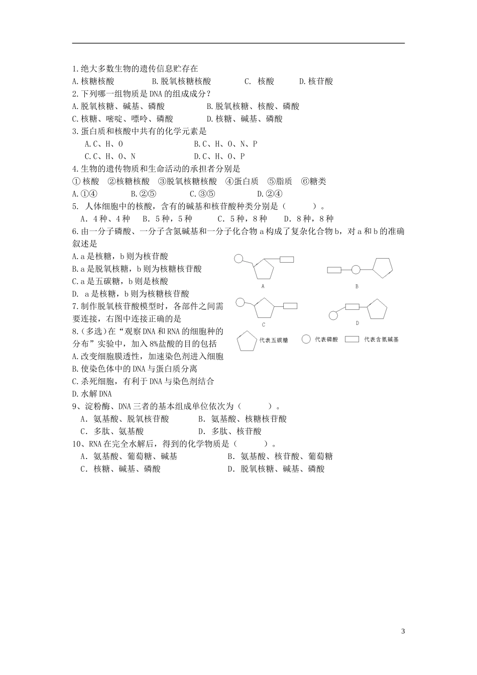 高中生物 第二章 组成细胞的分子 第三节 遗传信息的携带者——核酸教学案 新人教版必修1-新人教版高一必修1生物教学案_第3页