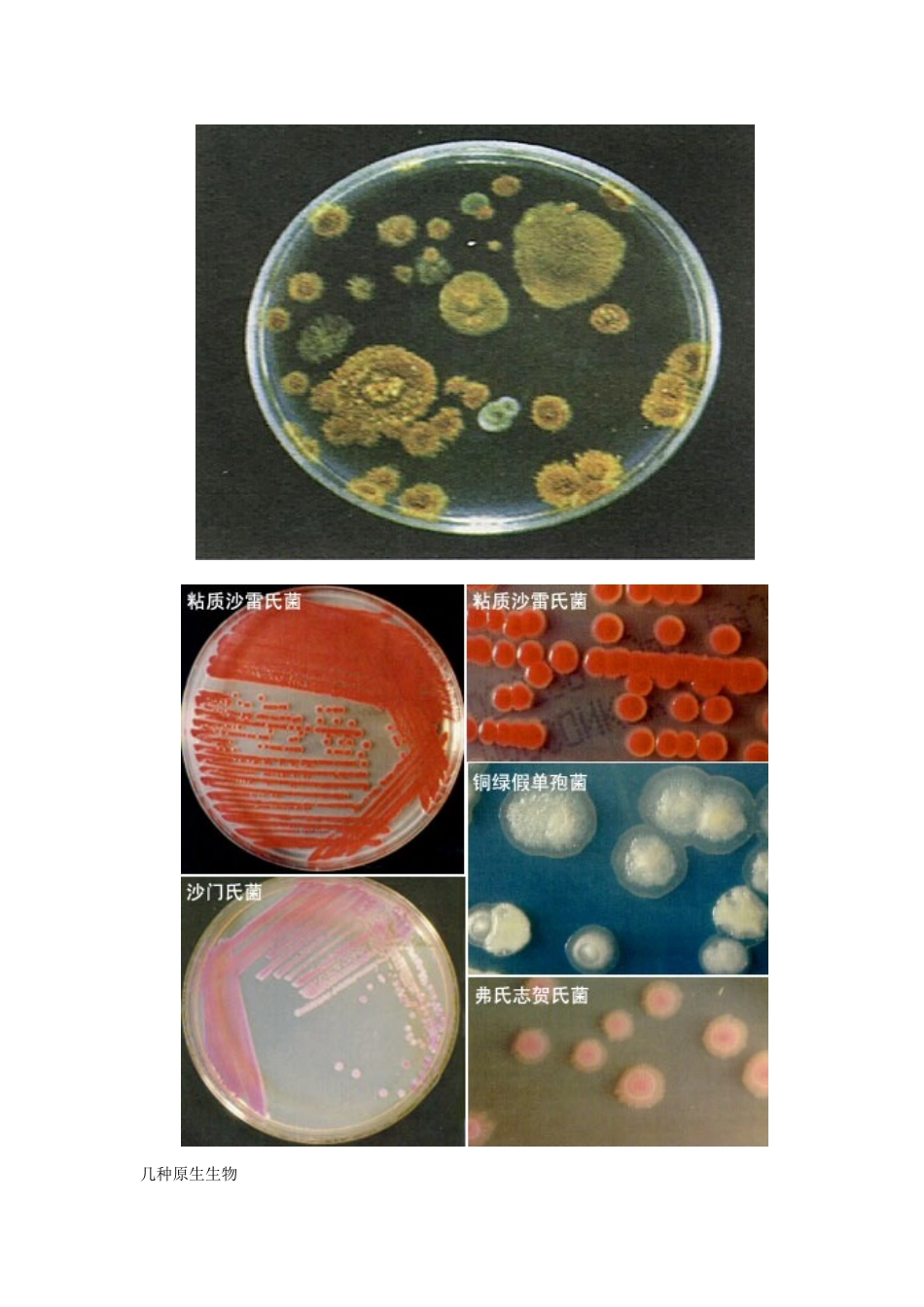 高中生物 同步资料 1.2_第2页