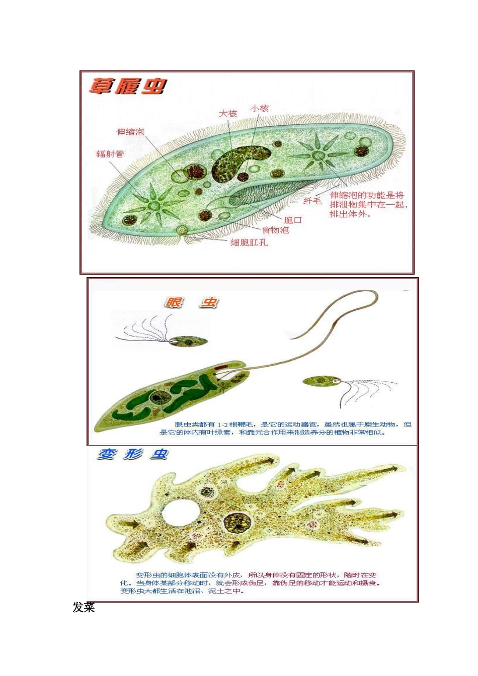 高中生物 同步资料 1.2_第3页