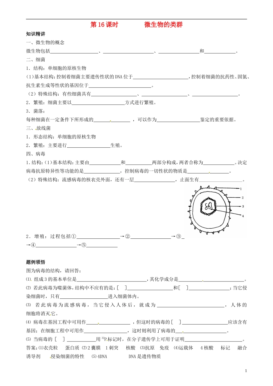 高中生物 微生物的类群学案 新人教版选修3-新人教版高二选修3生物学案_第1页