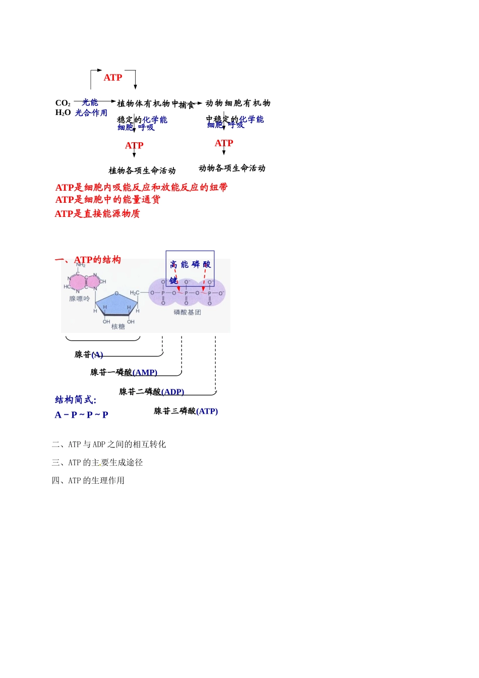 高中生物 物质的输入输出素材 新人教版必修1-新人教版高一必修1生物素材_第3页