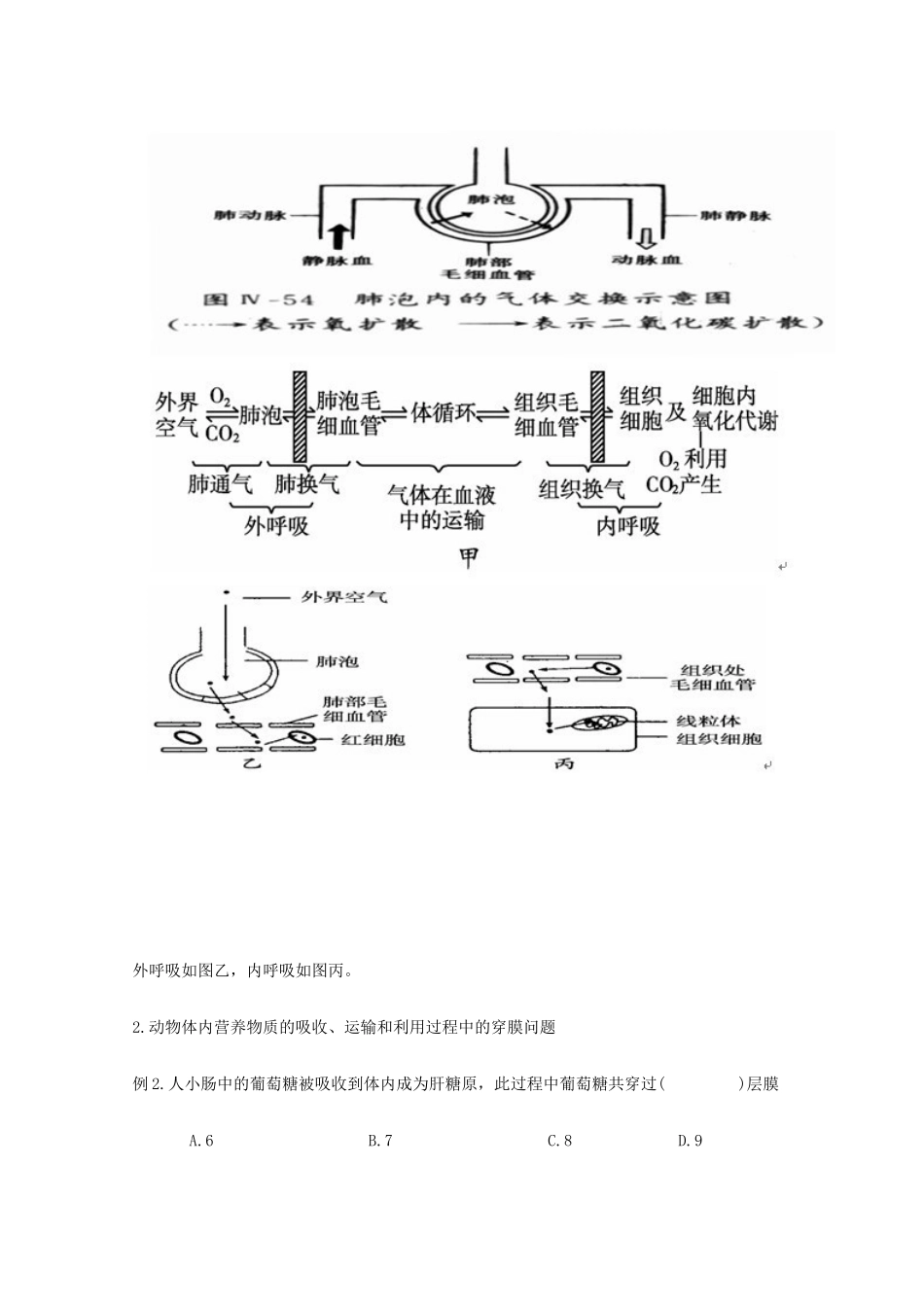 高中生物 物质跨膜数量的计算素材_第3页