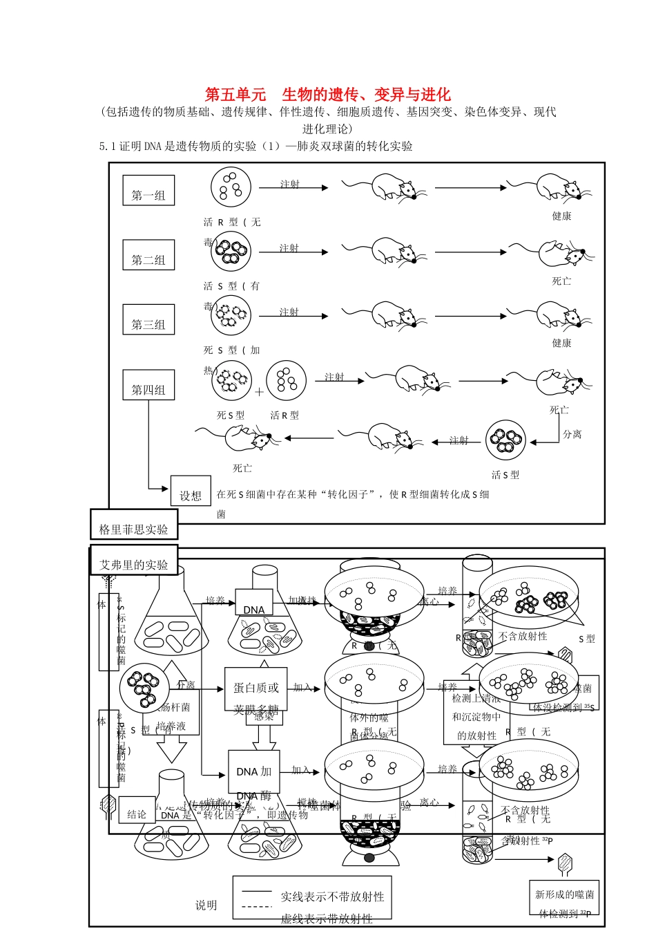 高中生物 第五单元 生物的遗传、变异与进化素材 人教版第二册_第1页