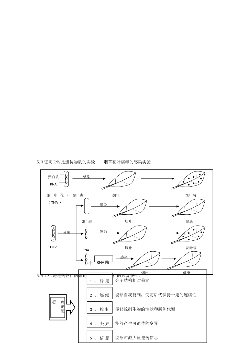 高中生物 第五单元 生物的遗传、变异与进化素材 人教版第二册_第2页