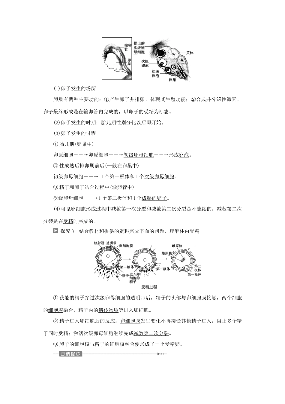 高中生物 第三章 胚胎工程 第一节 受精和胚胎发育学案 苏教版选修3-苏教版高二选修3生物学案_第3页