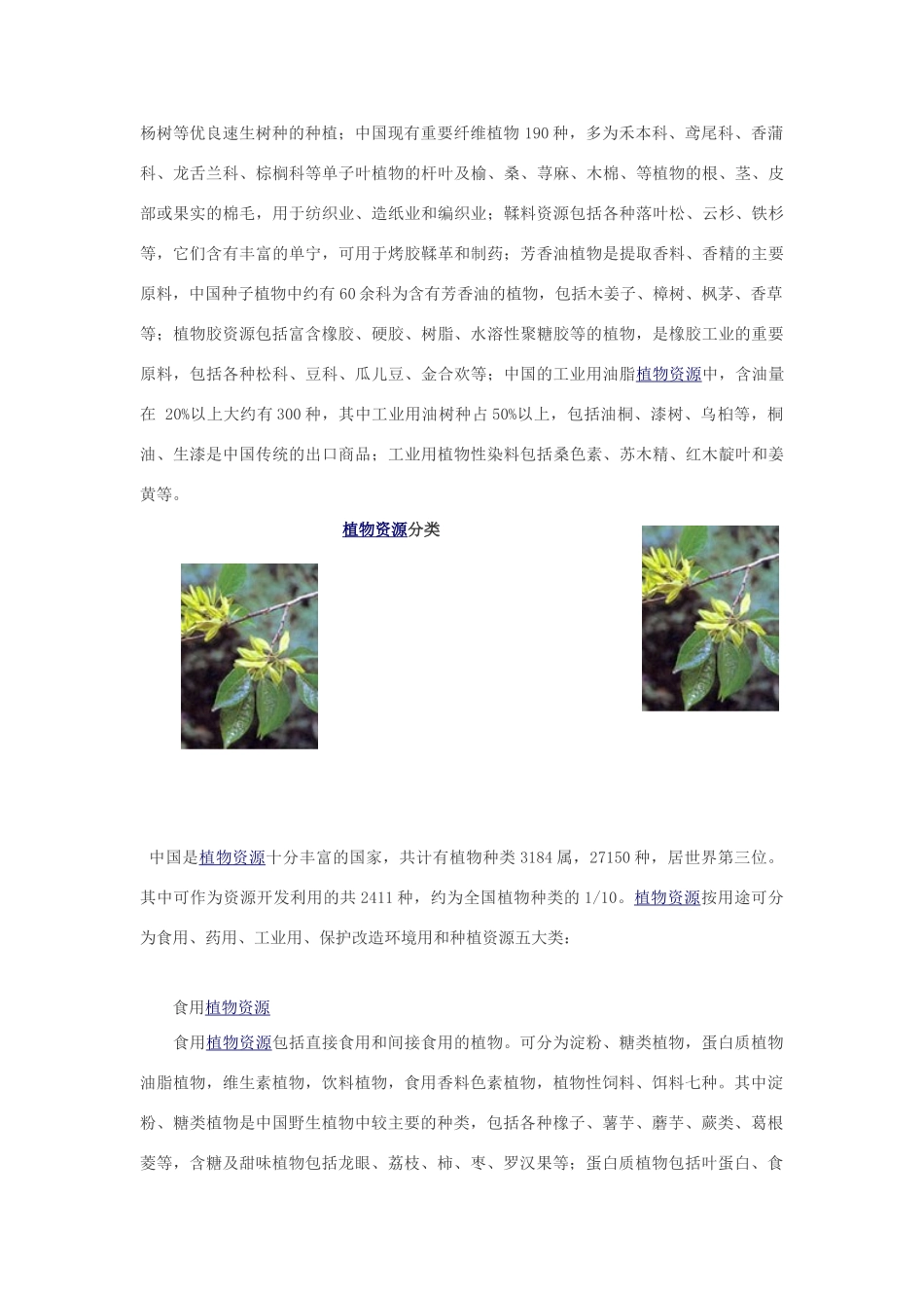 高中生物 植物资源分类素材_第2页
