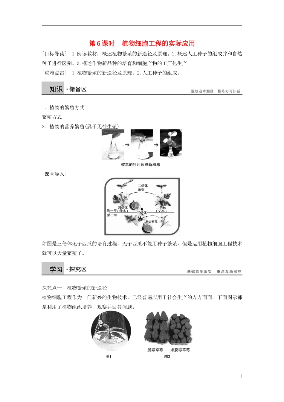 高中生物 专题二 细胞工程 第6课时 植物细胞工程的实际应用学案 新人教版选修3-新人教版高二选修3生物学案_第1页