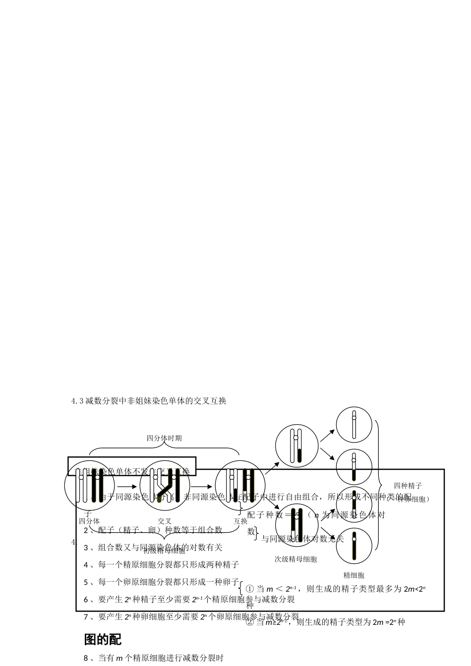 高中生物 第四单元 生物的生殖与发育素材 人教版第一册_第2页