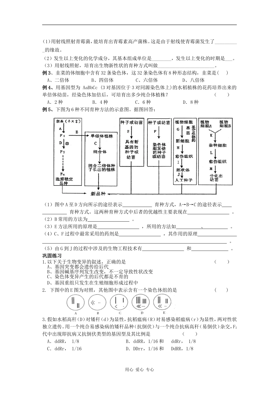 高中生物《变异与育种》期末复习教学案_第3页