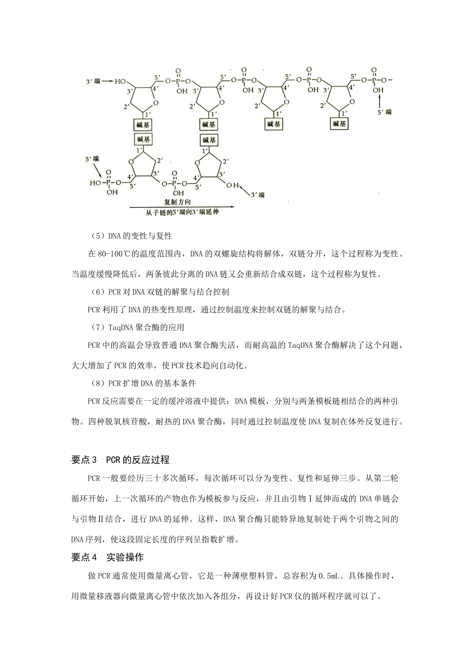 高中生物《多聚酶链式反应扩增DNA片段》文字素材3 新人教版选修1_第2页