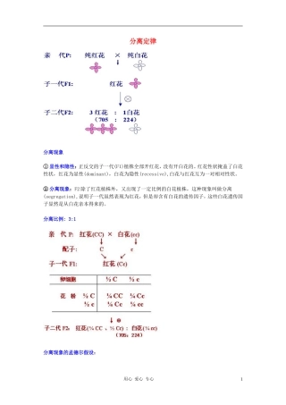 高中生物《分离定律》学案5 浙教版必修2