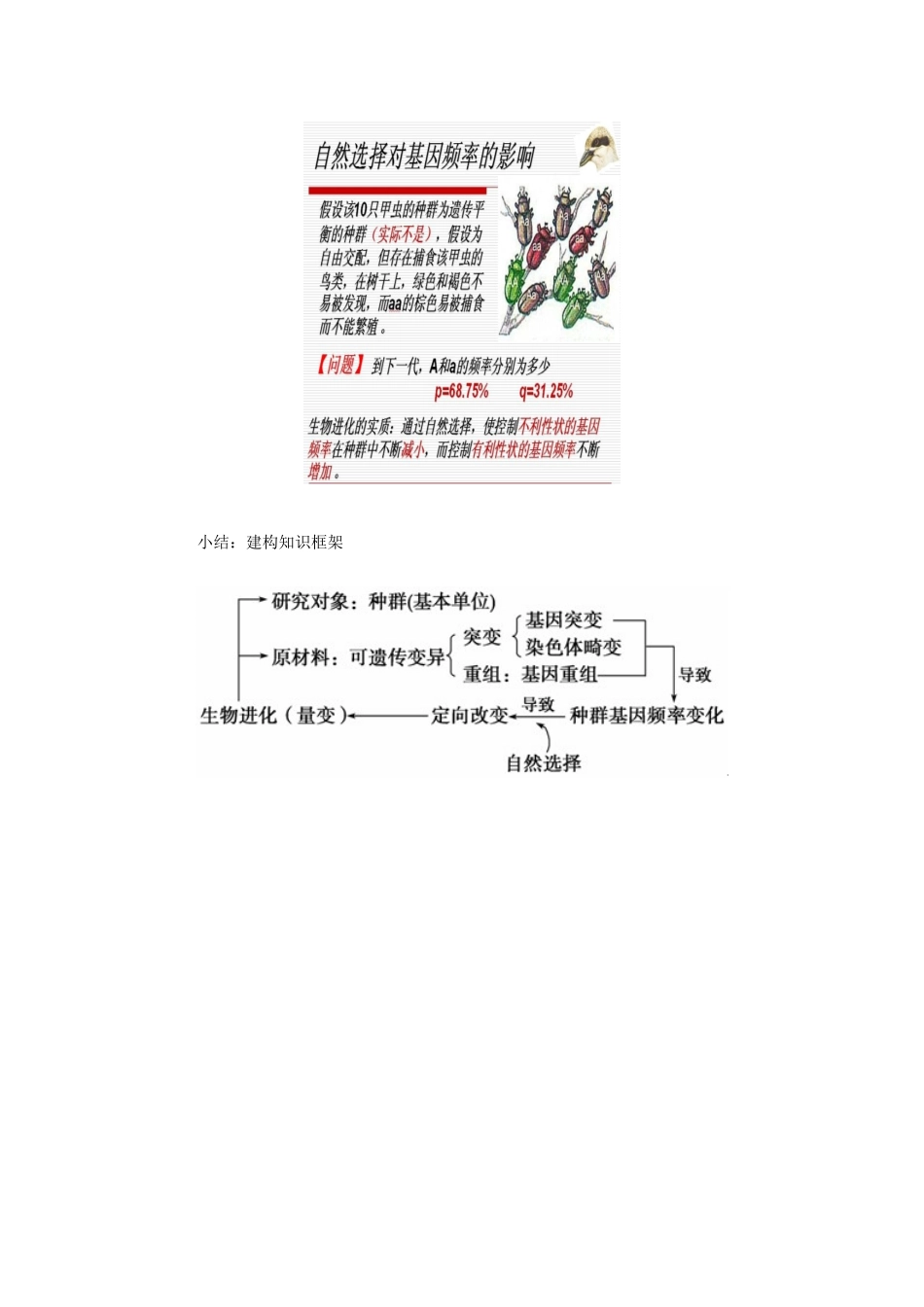 高中生物 第五章 生物的进化 5.2 进化性变化是怎样发生的素材 浙科版必修2-浙科版高一必修2生物素材_第2页