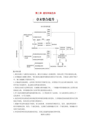 高中生物 第三章 遗传和染色体章末整合提升教学案 苏教版必修2-苏教版高一必修2生物教学案