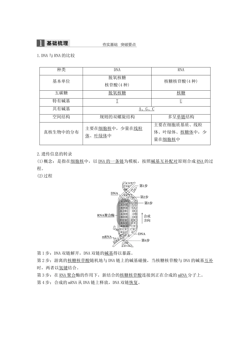 高中生物 第四章 基因的表达 第1节 基因指导蛋白质的合成教学案 新人教版必修2-新人教版高一必修2生物教学案_第2页