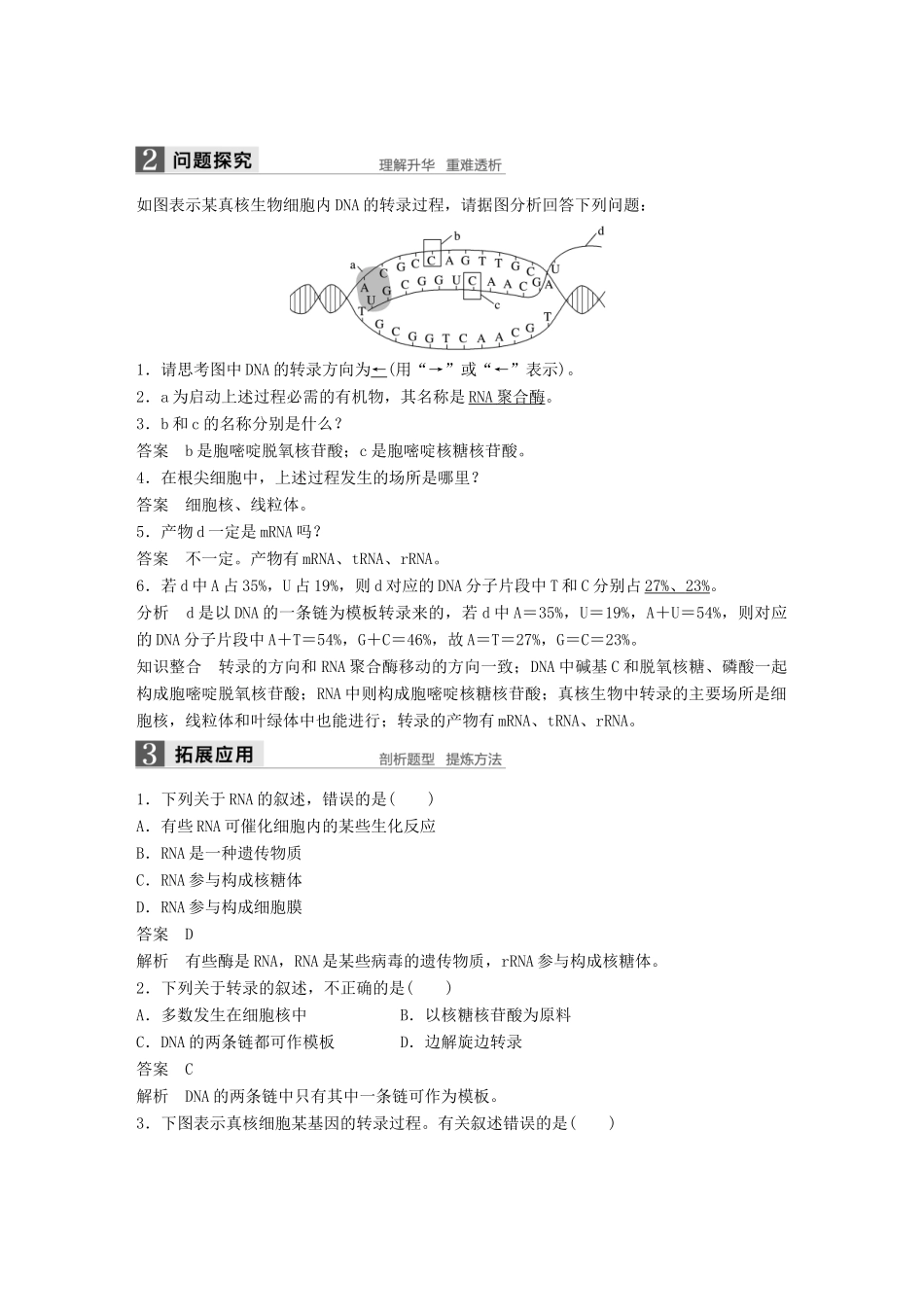 高中生物 第四章 基因的表达 第1节 基因指导蛋白质的合成教学案 新人教版必修2-新人教版高一必修2生物教学案_第3页