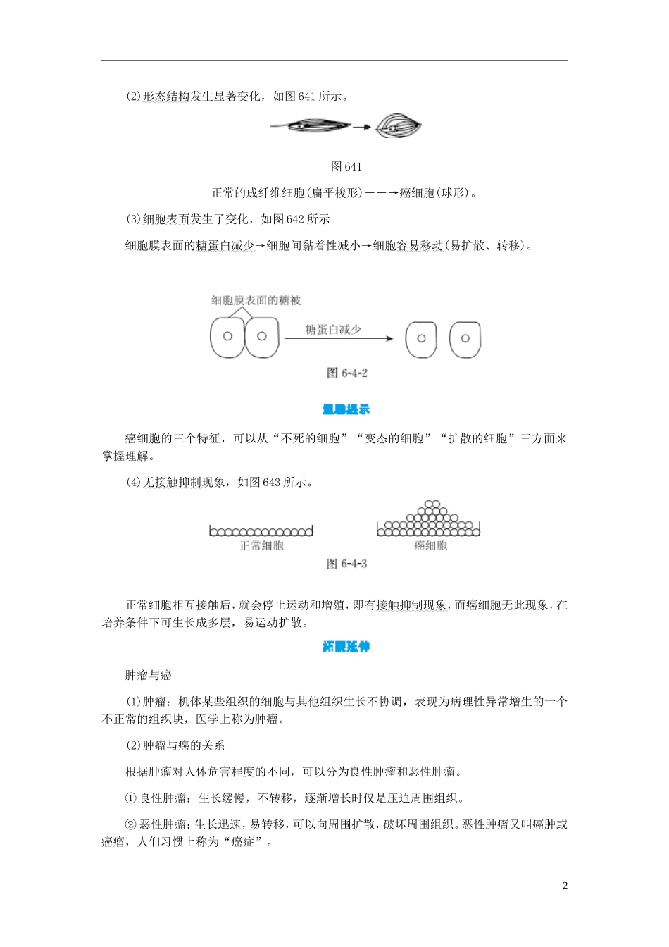 高中生物 第6章 第4节 细胞的癌变学案 新人教版必修1-新人教版高一必修1生物学案_第2页