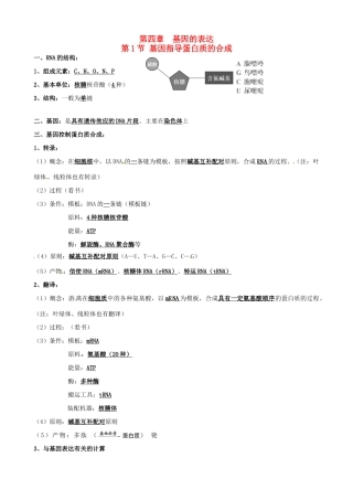 高中生物 第四章 基因的表达知识提纲 新人教版必修2-新人教版高一必修2生物素材