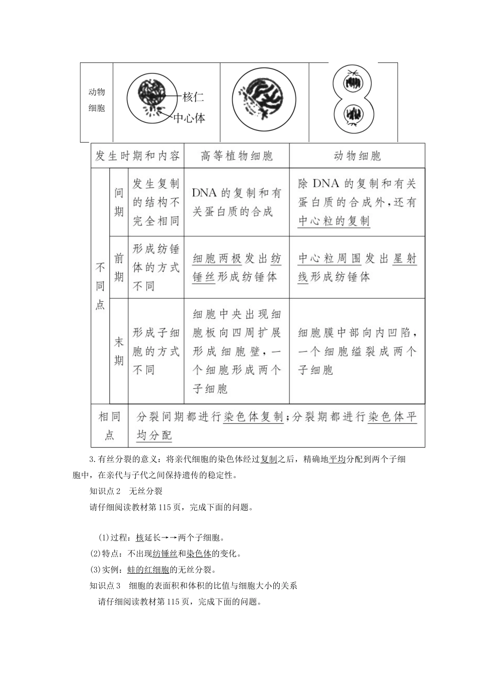 高中生物 第6章 细胞的生命历程 6-1-2 动植物细胞有丝分裂的异同及观察根尖分生区组织细胞的有丝分裂教学案 新人教版必修1-新人教版高一必修1生物教学案_第2页
